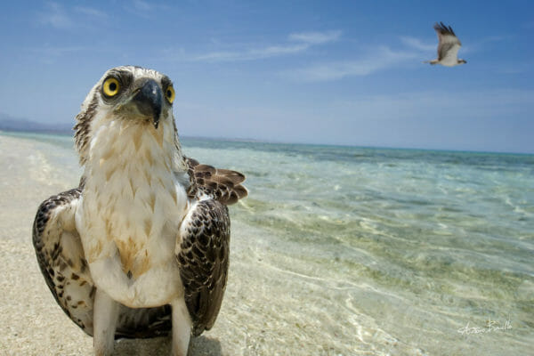 5977x4000 0018 portsudan