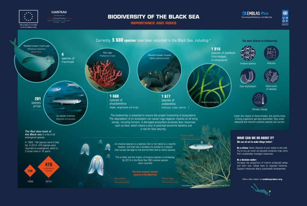 Biodiversity scaled