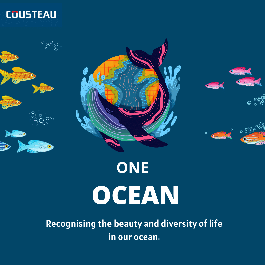 One Ocean