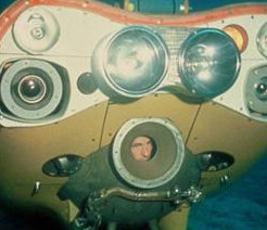 Sea Fleas – Cousteau