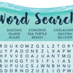 Word search