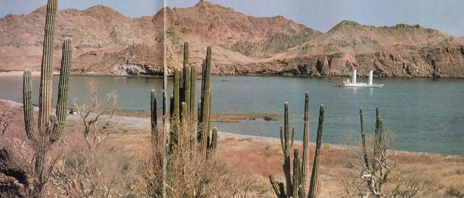 Alcyone2 Sea of Cortez